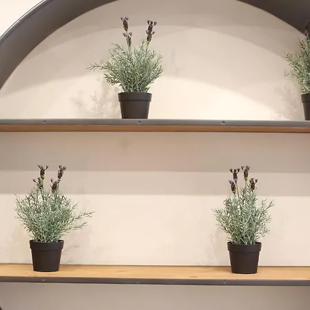 El Consejero De Indias Free Parking By Cadiz4rentals * Cádiz