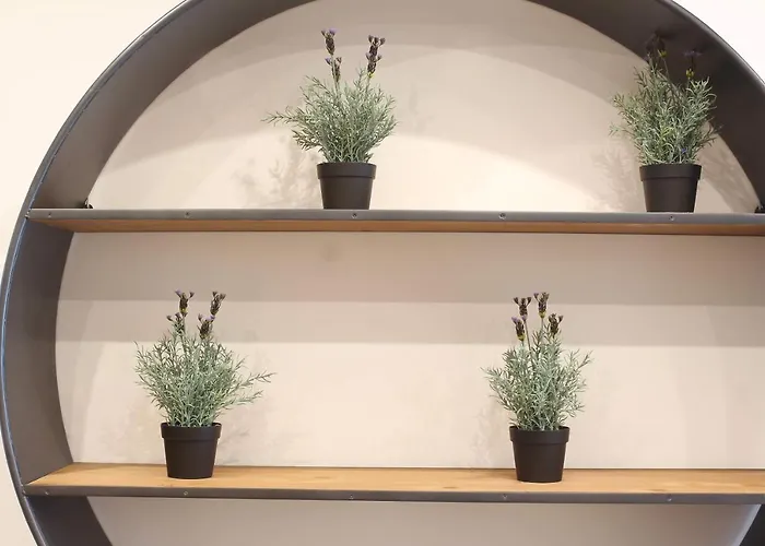 El Consejero De Indias Free Parking By Cadiz4rentals * Cádiz